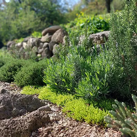 דירה Nalam Alszol Vendeghaz *