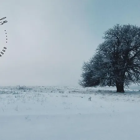 Nalam Alszol Vendeghaz Taliandorogd