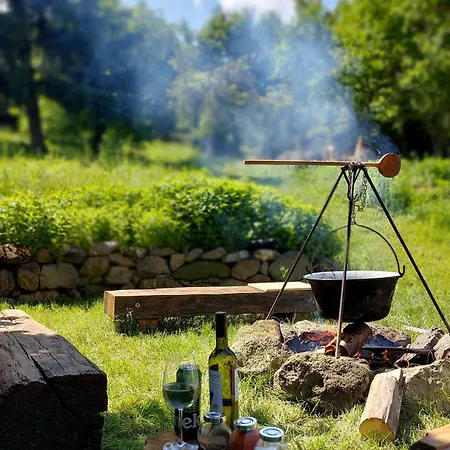 Nalam Alszol Vendeghaz * Taliandorogd