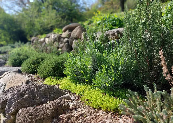 Apartment Nalam Alszol Vendeghaz *