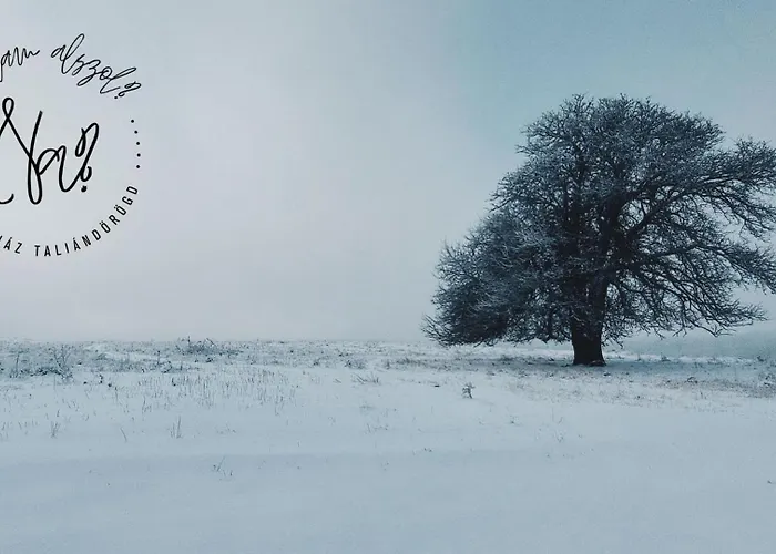 Nalam Alszol Vendeghaz Taliandorogd