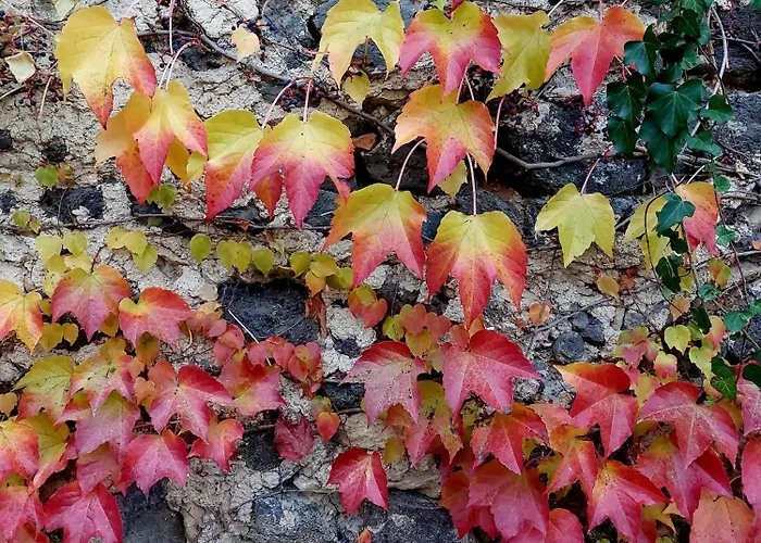 Nalam Alszol Vendeghaz Apartment Taliandorogd